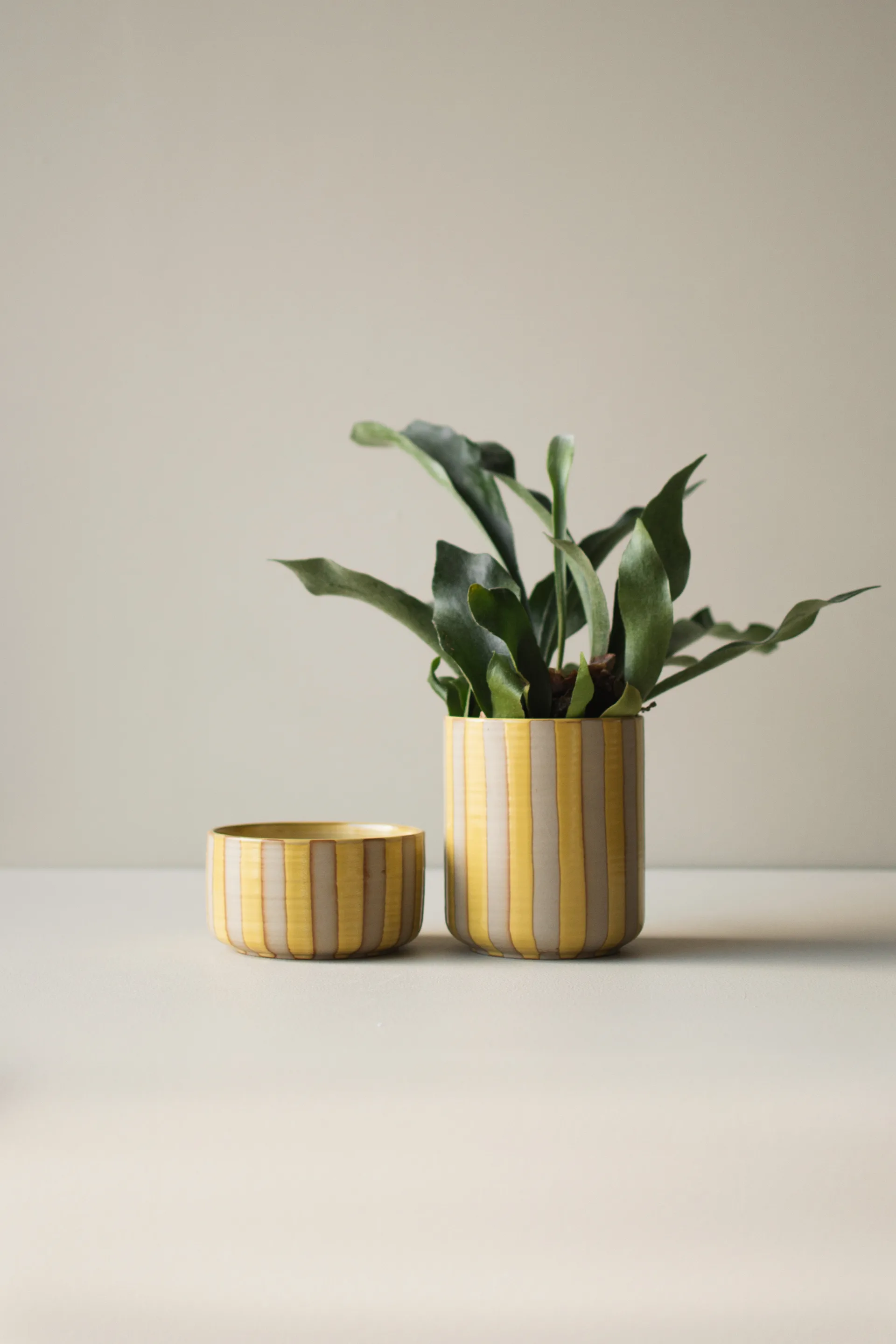 Doniczka Line Ø14x16 cm, Yellow DBKD