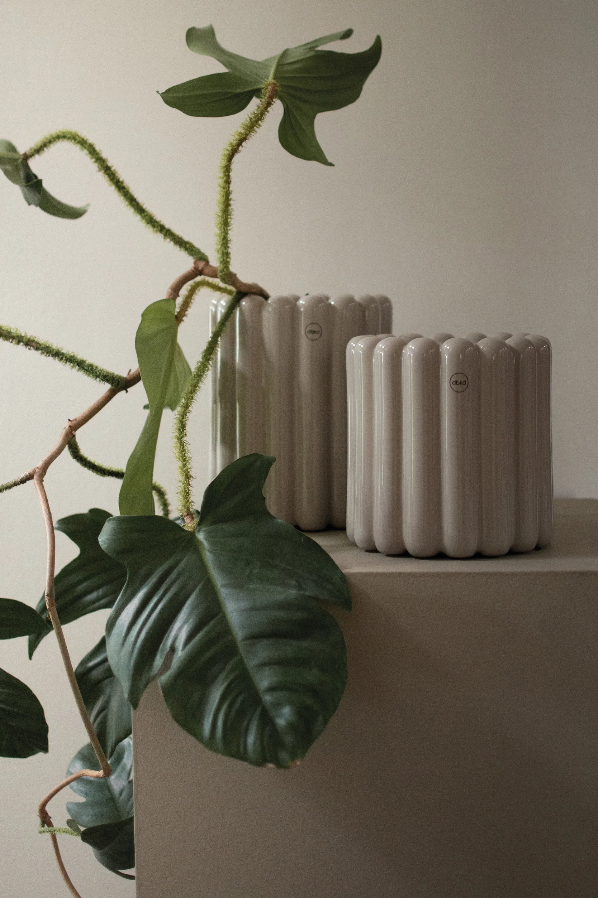 Doniczka Mist, mała Ø19x19 cm, Shiny mole DBKD