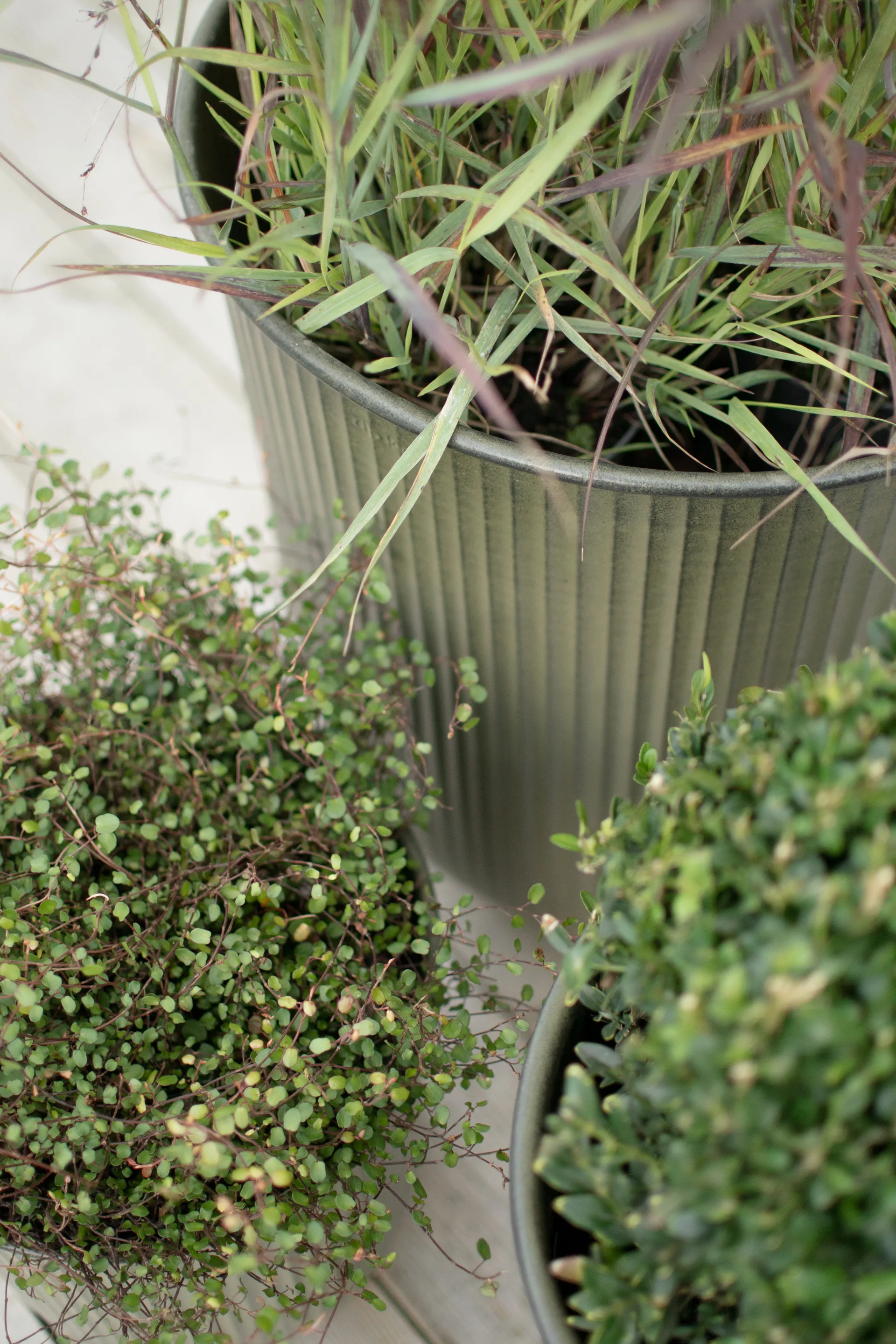 Doniczka Out Stripe 3 szt., Green DBKD