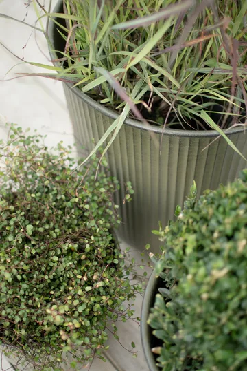 Doniczka Out Stripe 3 szt. - Green - DBKD