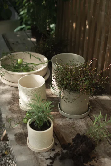 Doniczka Plant Pot Small 2 szt. - Beige - DBKD