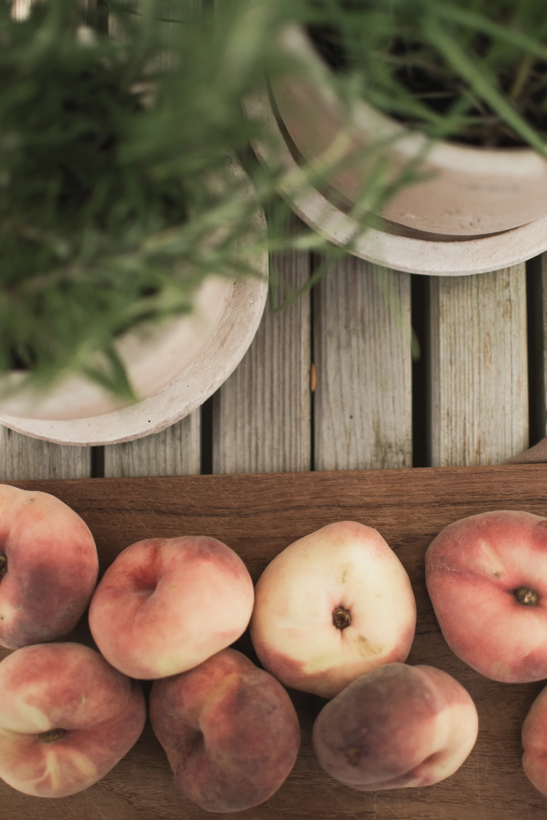 Doniczka Terra, Sand, Ø16x16 cm DBKD