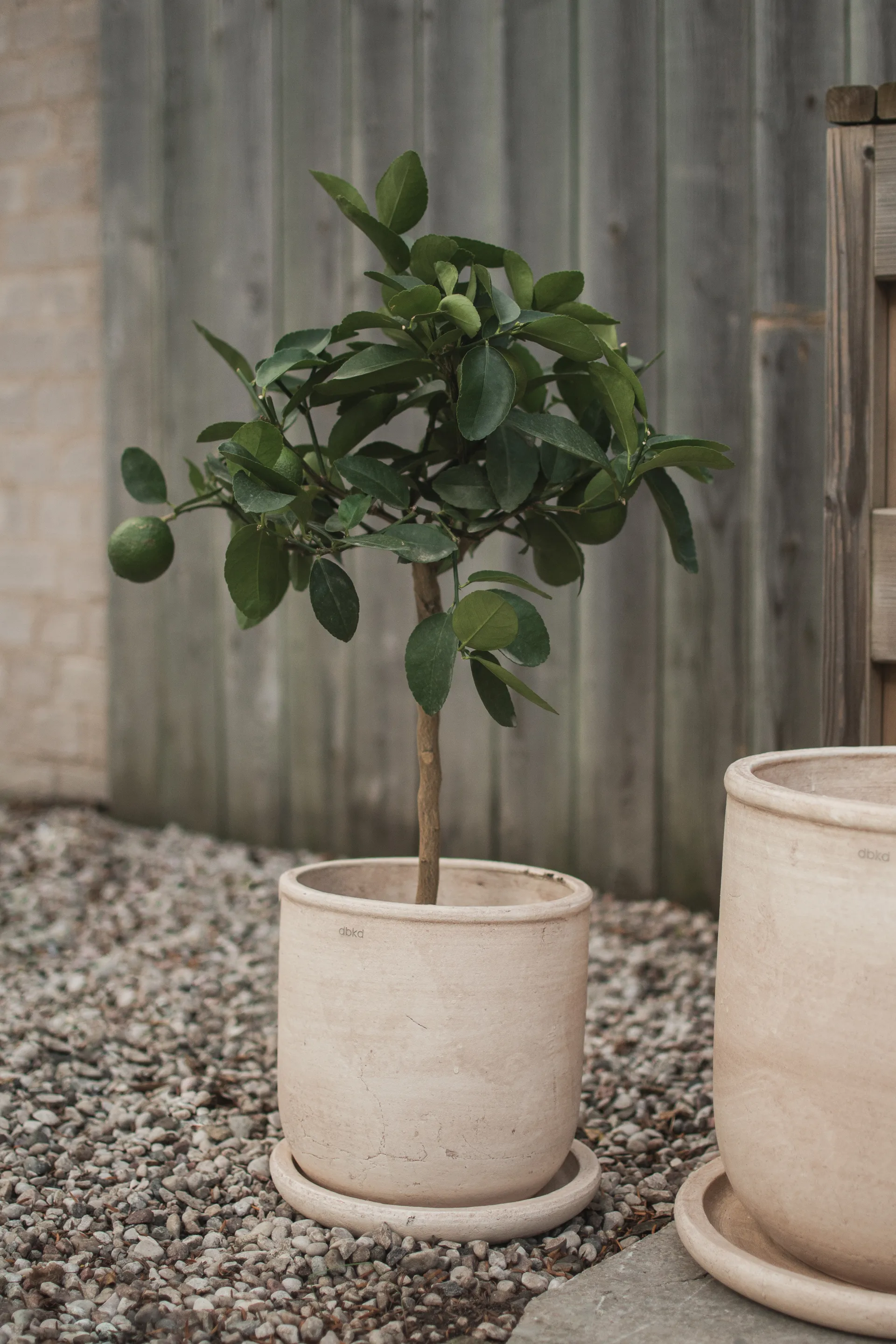 Doniczka Terra, Sand, Ø23x26 cm DBKD