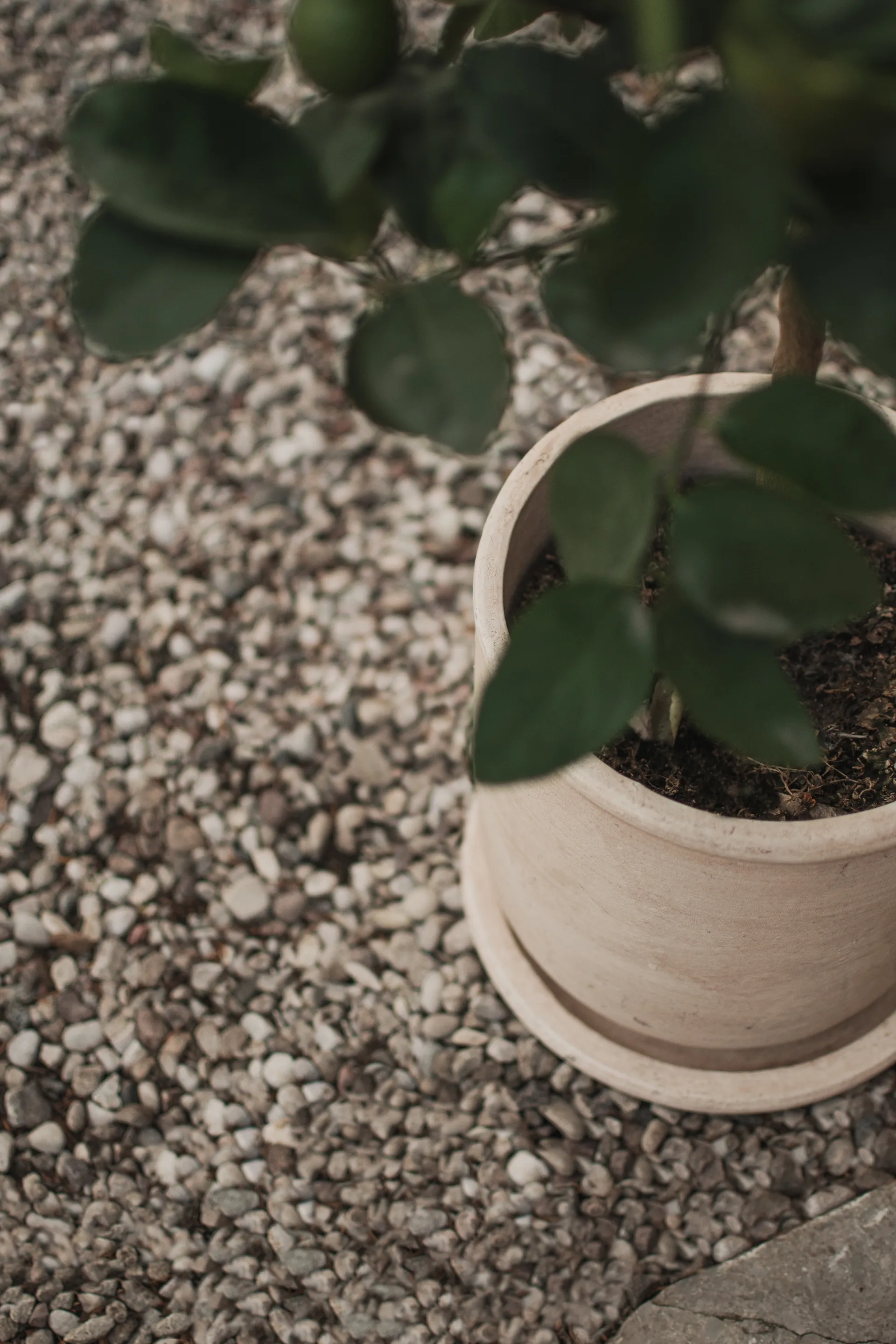 Doniczka Terra, Sand, Ø23x26 cm DBKD