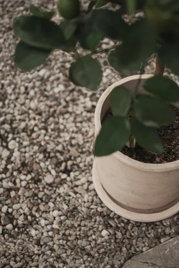 Doniczka Terra - Sand, Ø23x26 cm - DBKD