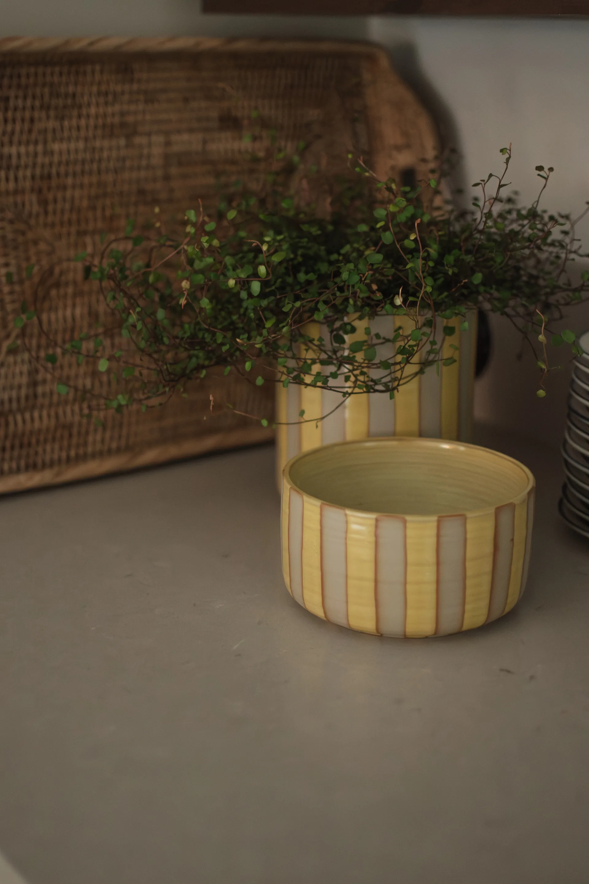 Misa dekoracyjna Line Ø16 cm, Yellow DBKD