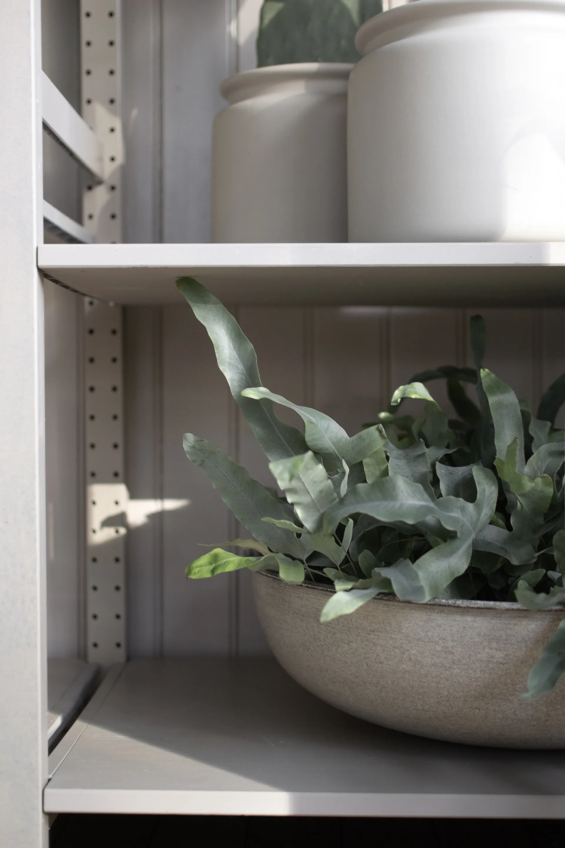 Miska Out Bowl 3 części, Beige DBKD