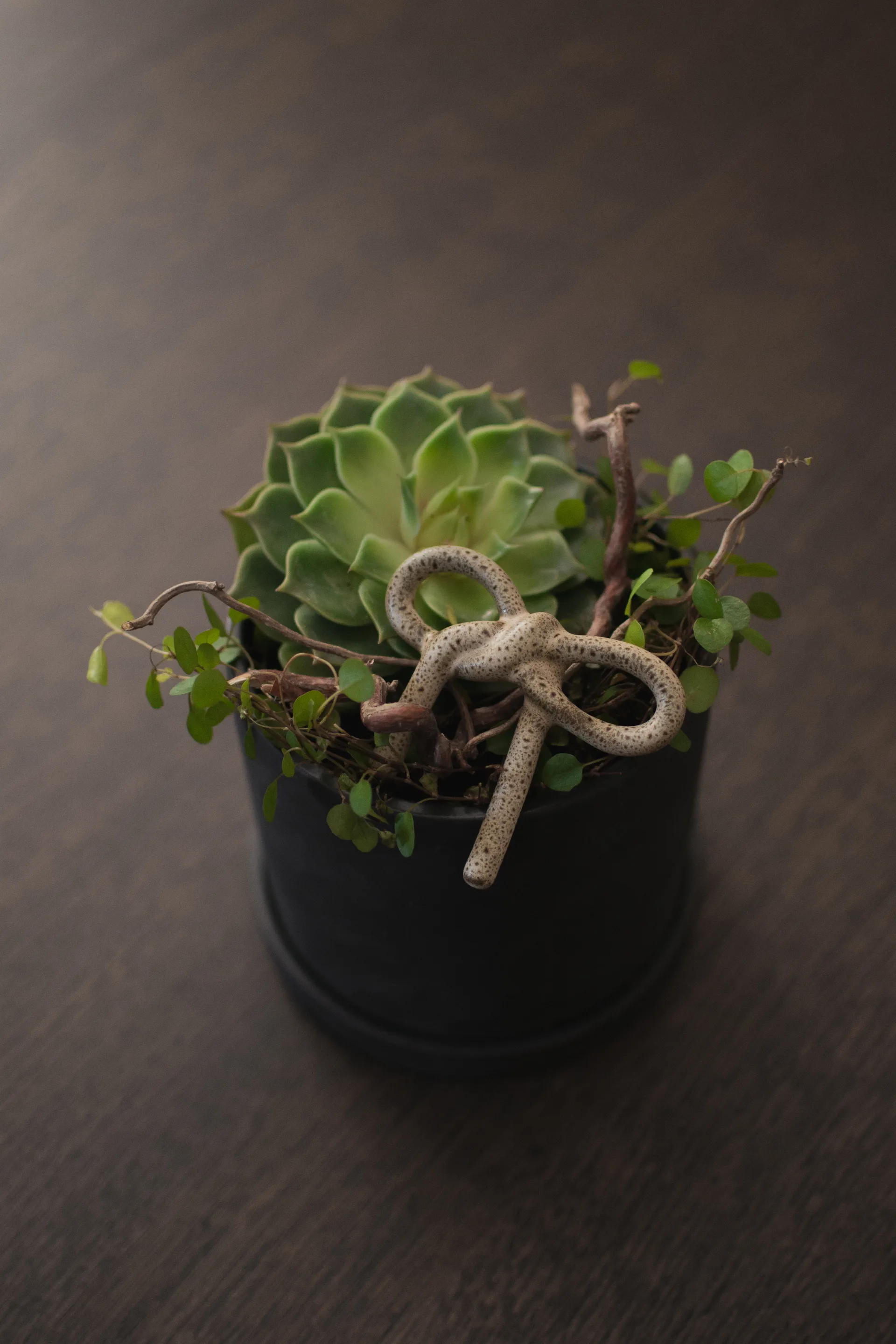 Ozdoba do doniczki Bow, Beige DBKD