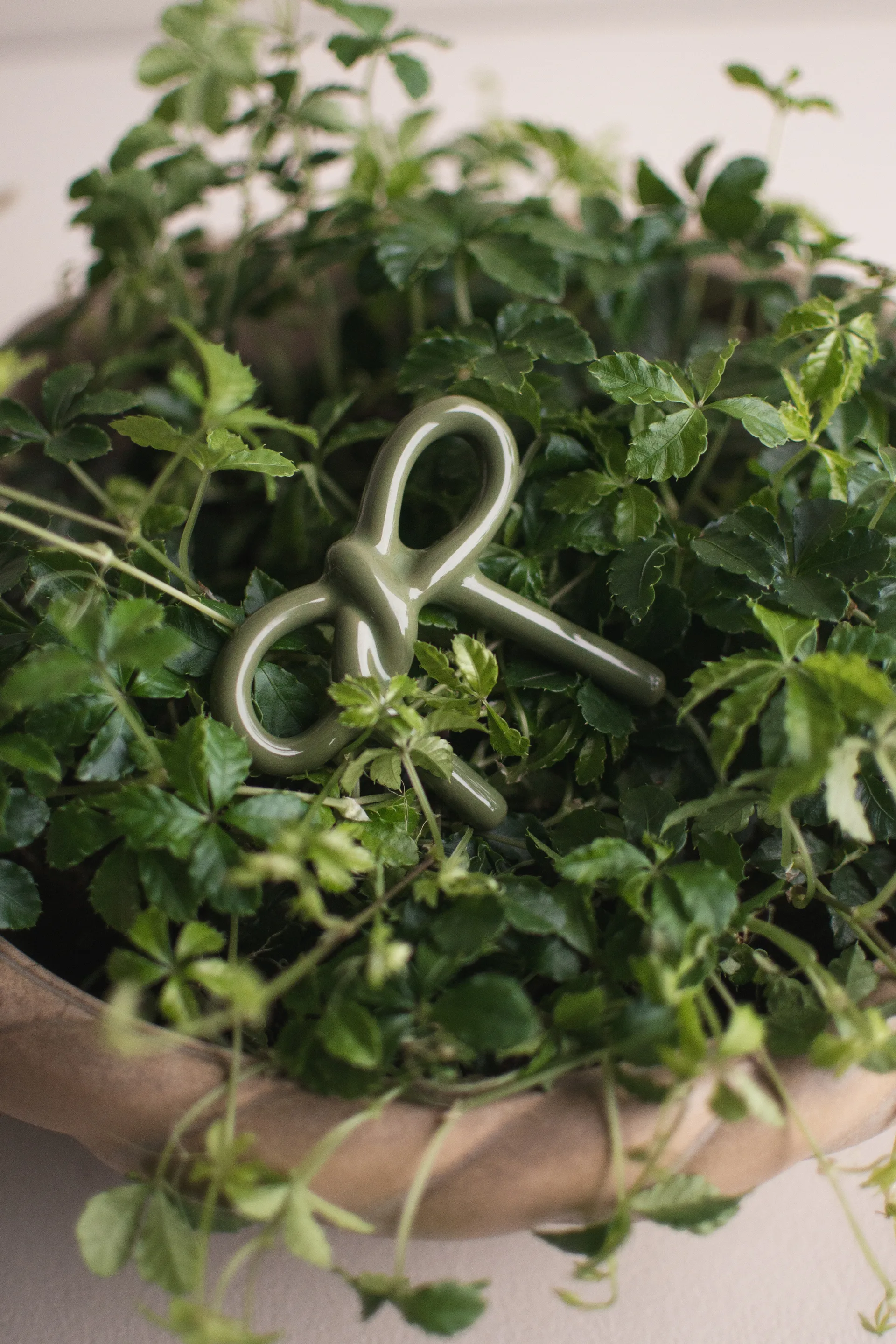 Ozdoba do doniczki Bow, Błyszcząca zieleń DBKD