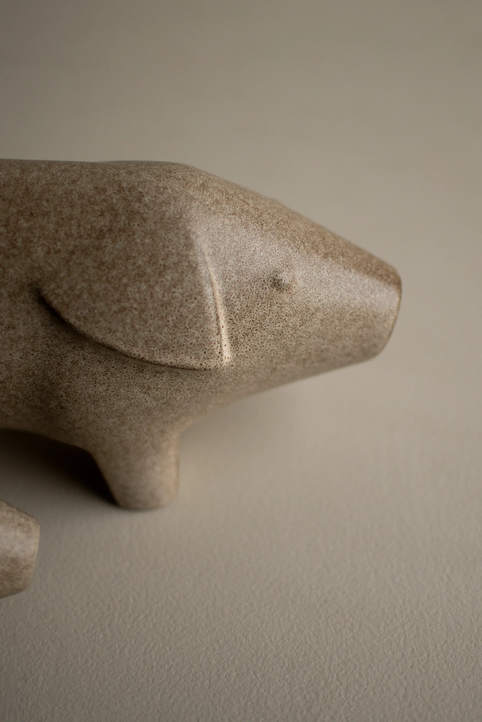 Szwedzka świnka, duża, Beżowy DBKD