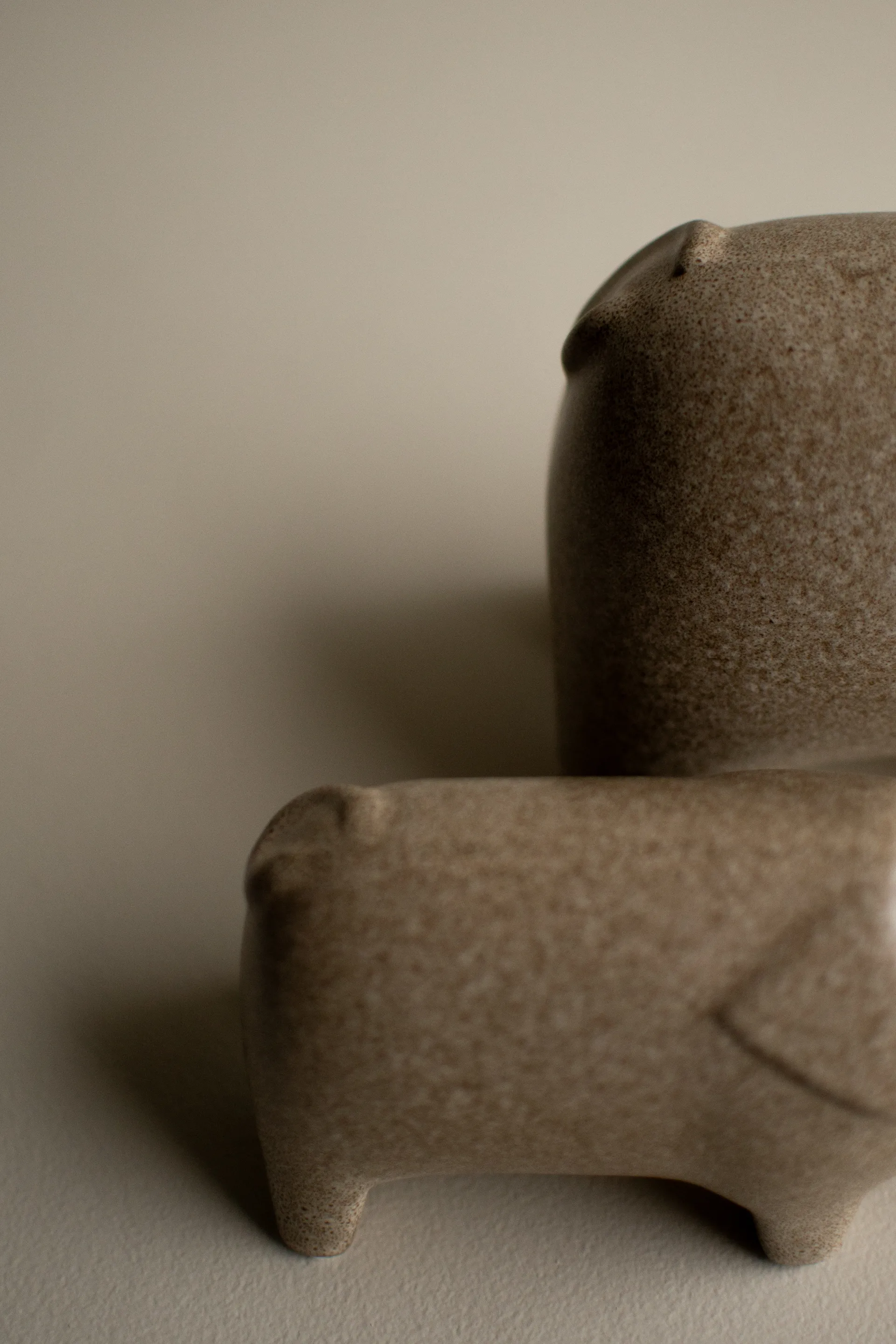 Szwedzka świnka, duża, Beżowy DBKD