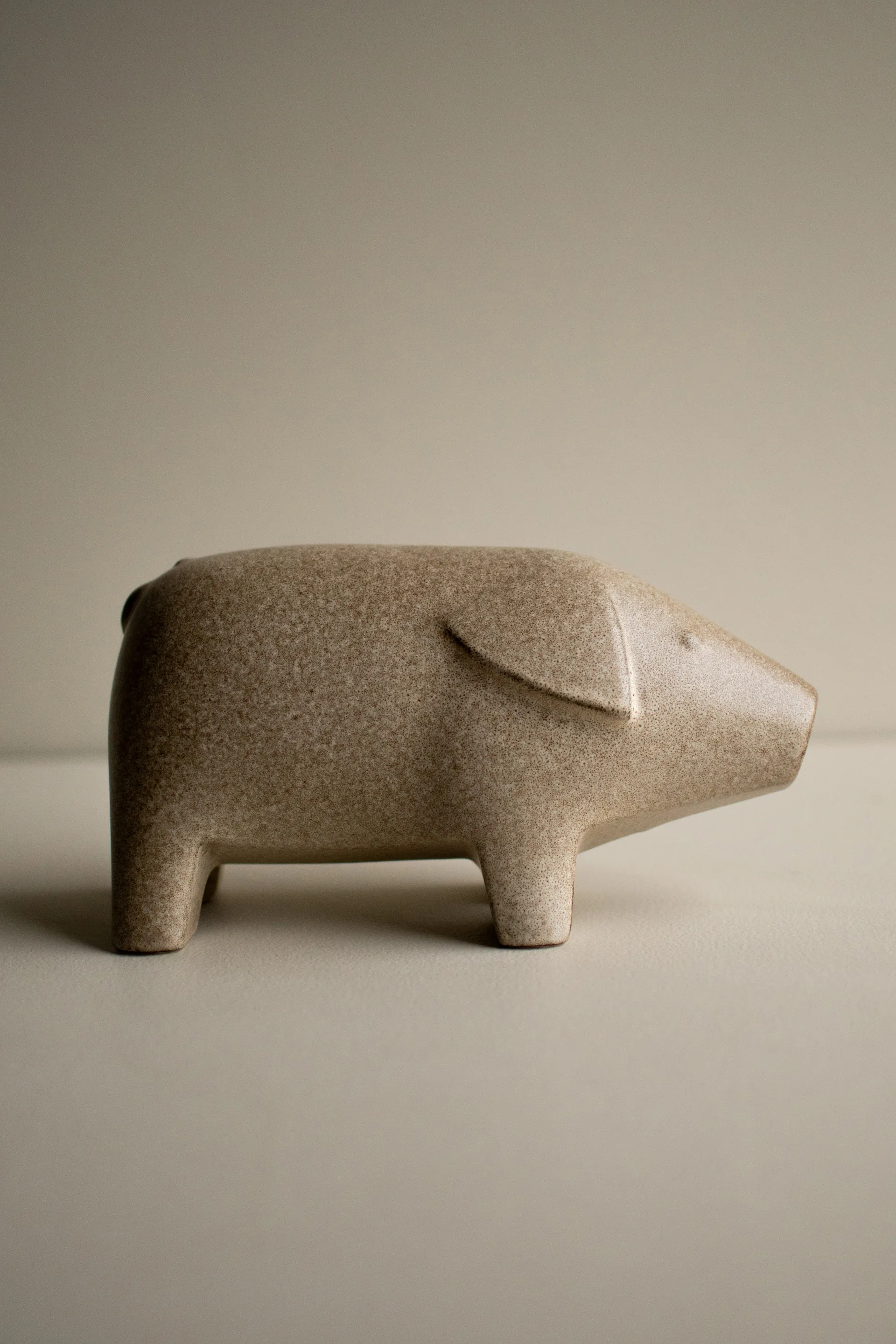 Szwedzka świnka, duża, Beżowy DBKD