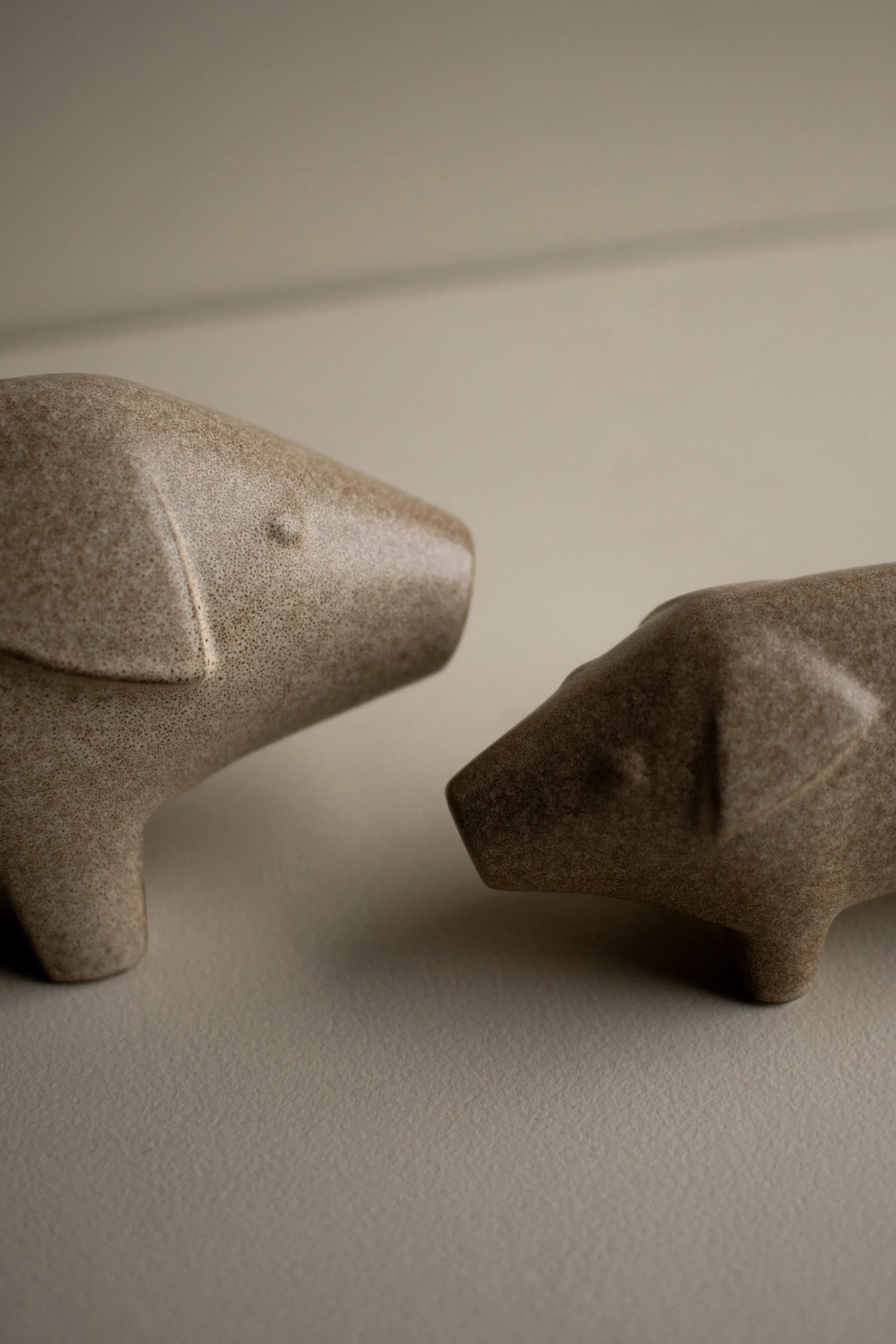 Szwedzka świnka, mała, Beżowy DBKD