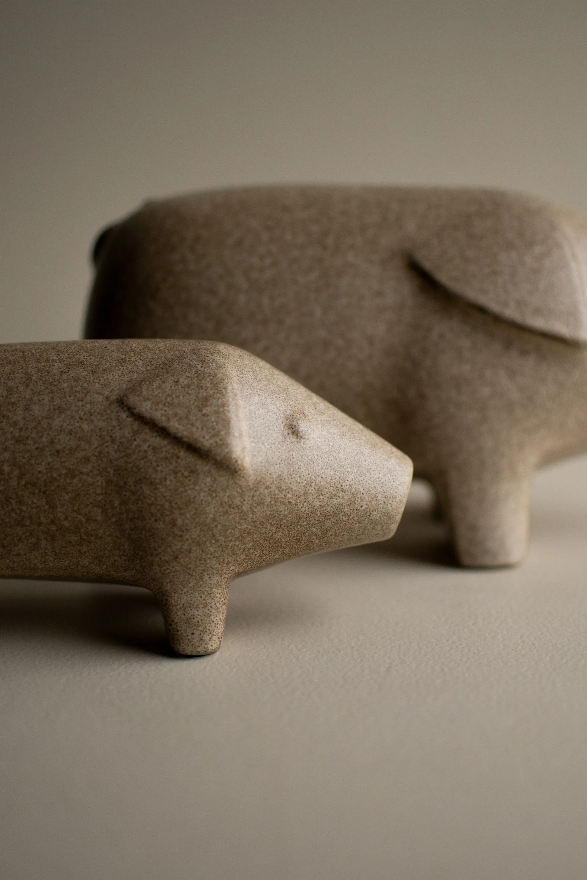 Szwedzka świnka, mała, Beżowy DBKD