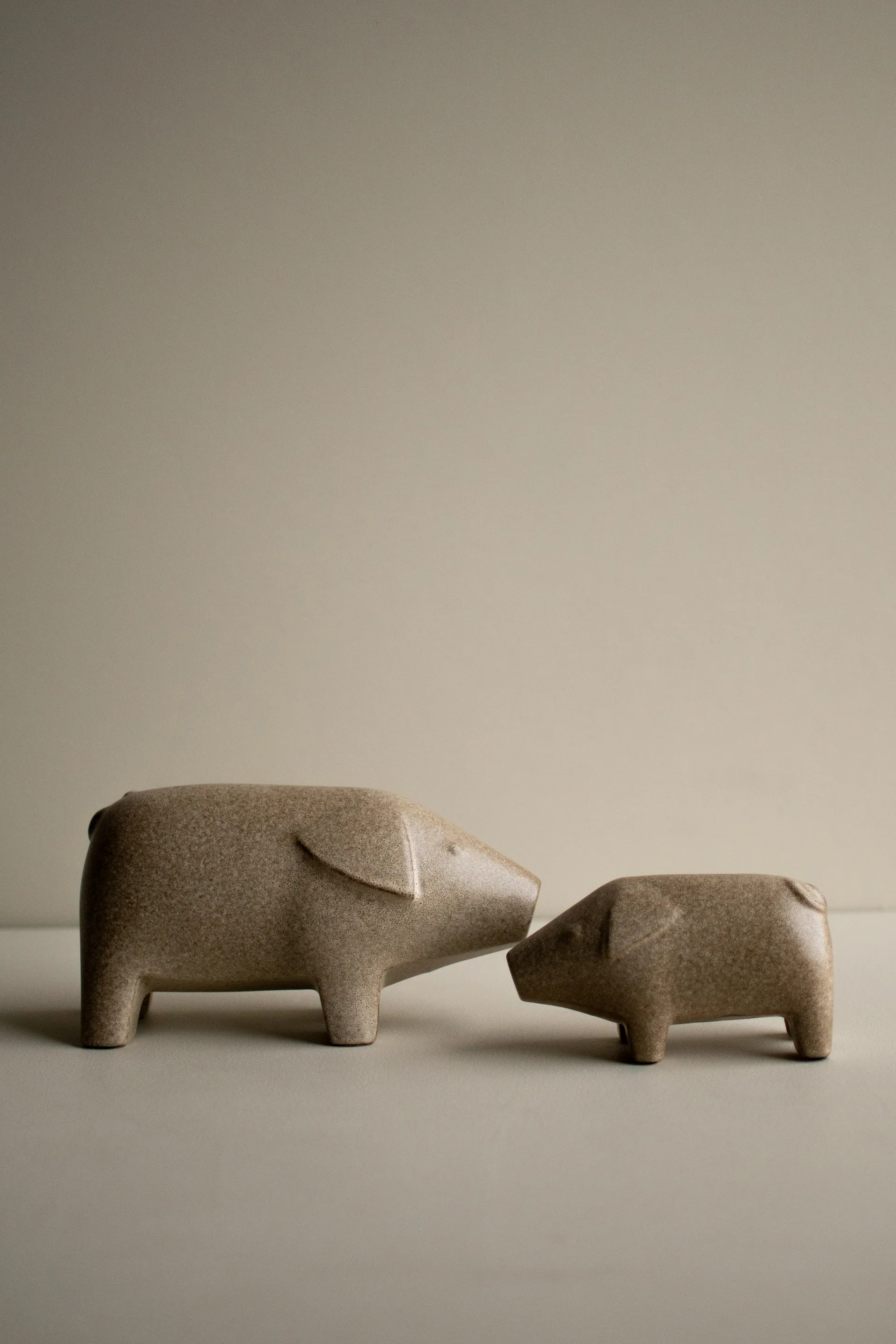 Szwedzka świnka, mała, Beżowy DBKD