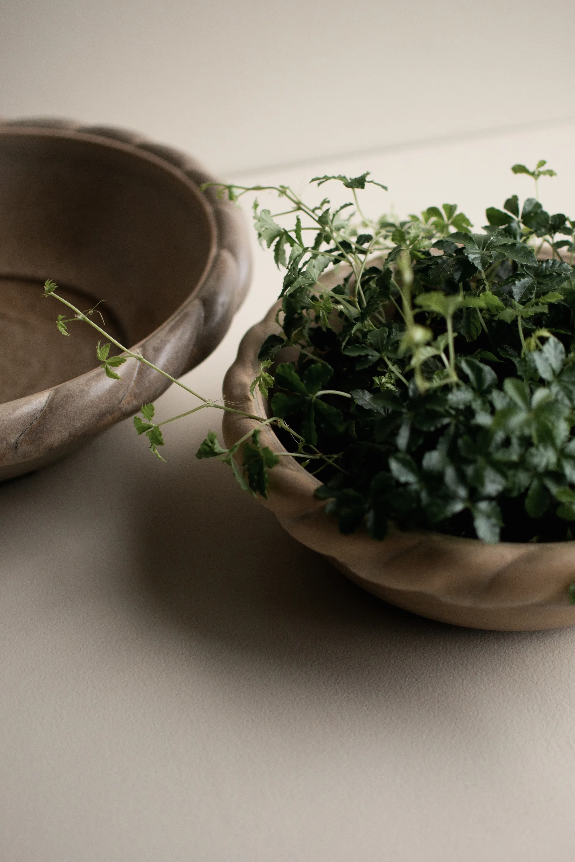 Talerz Twine Ø30 cm, Beżowy DBKD