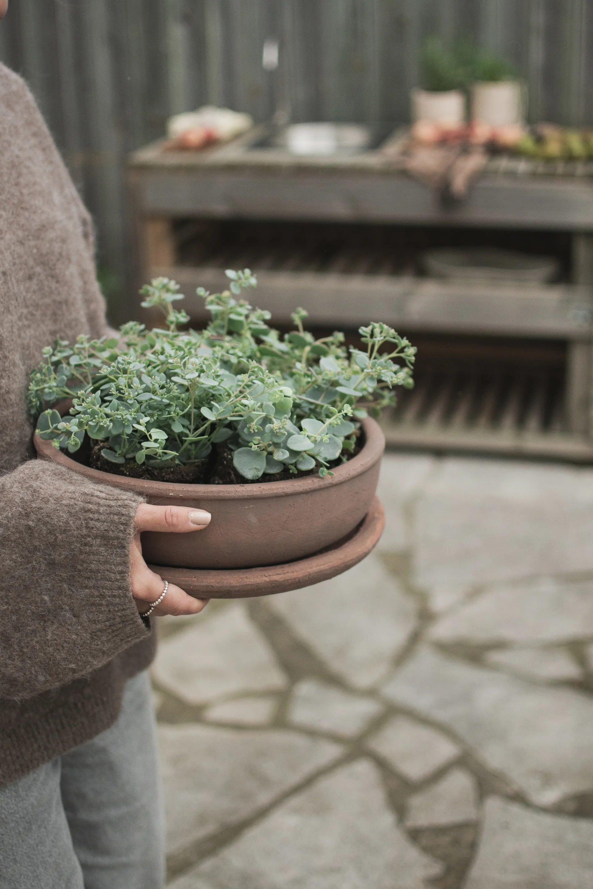 Terra bowl doniczka, Brown, Ø30x10,5 cm DBKD