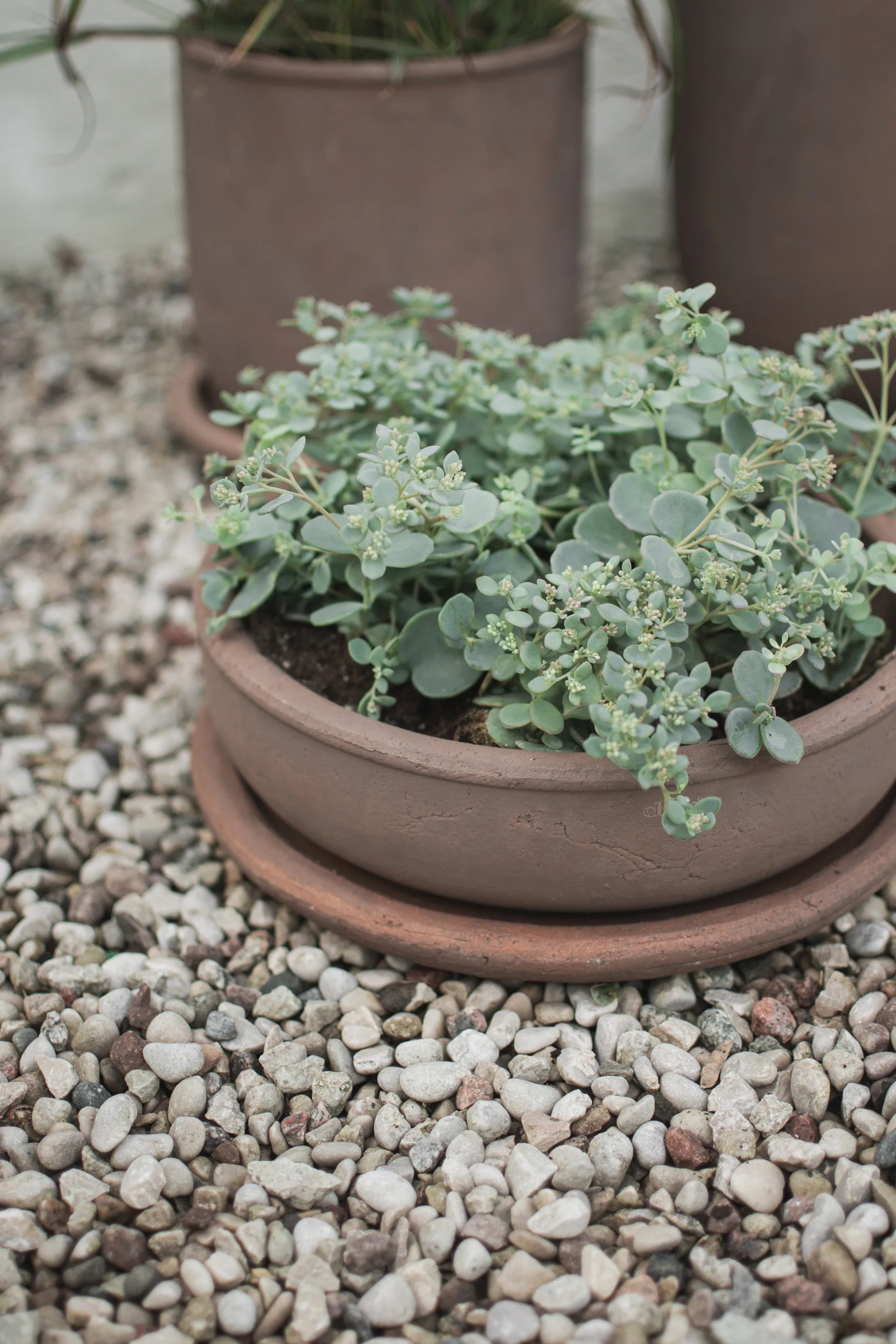 Terra bowl doniczka, Brown, Ø30x10,5 cm DBKD