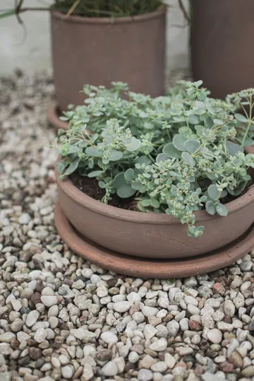 Terra bowl doniczka - Brown, Ø30x10,5 cm - DBKD