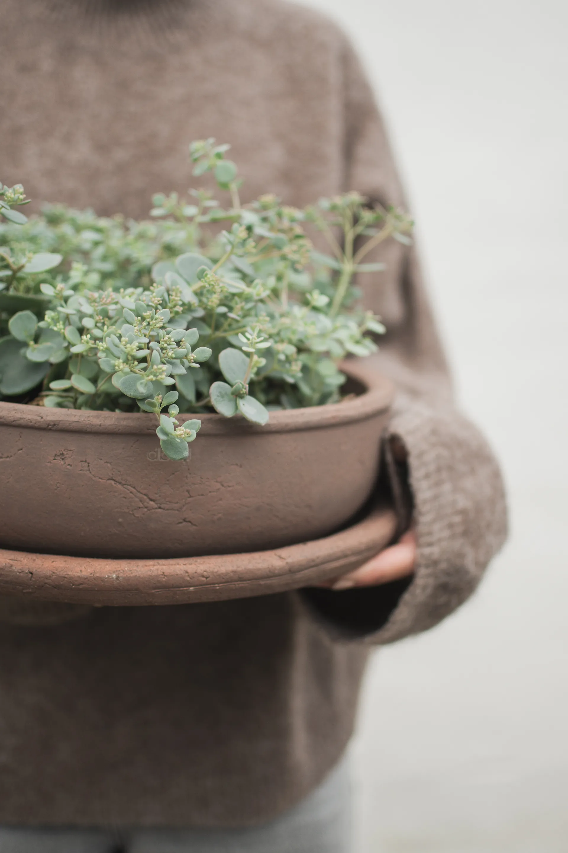 Terra bowl doniczka, Brown, Ø30x10,5 cm DBKD