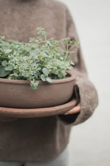Terra bowl doniczka - Brown, Ø30x10,5 cm - DBKD