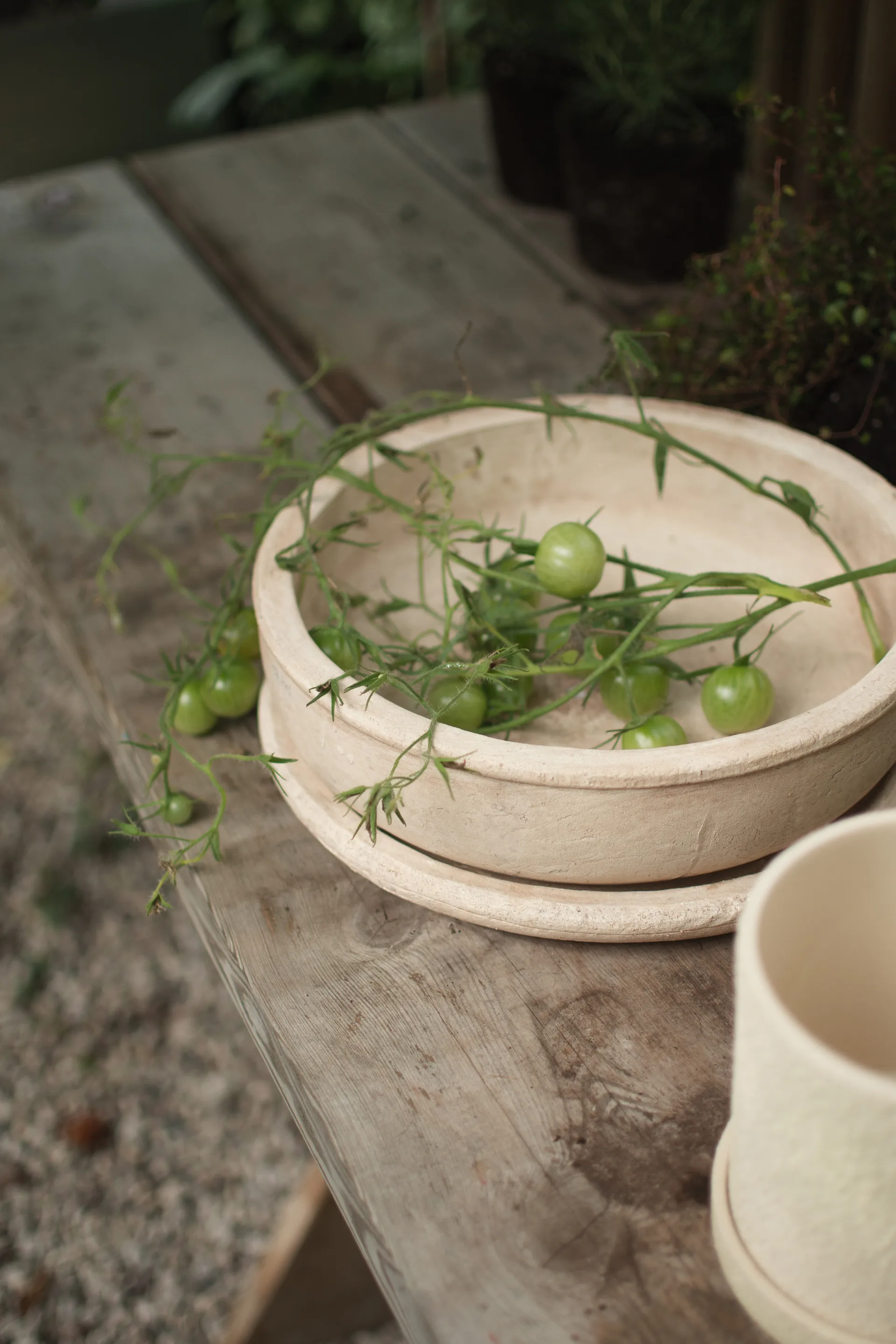 Terra bowl doniczka, Sand, Ø30x10,5 cm DBKD