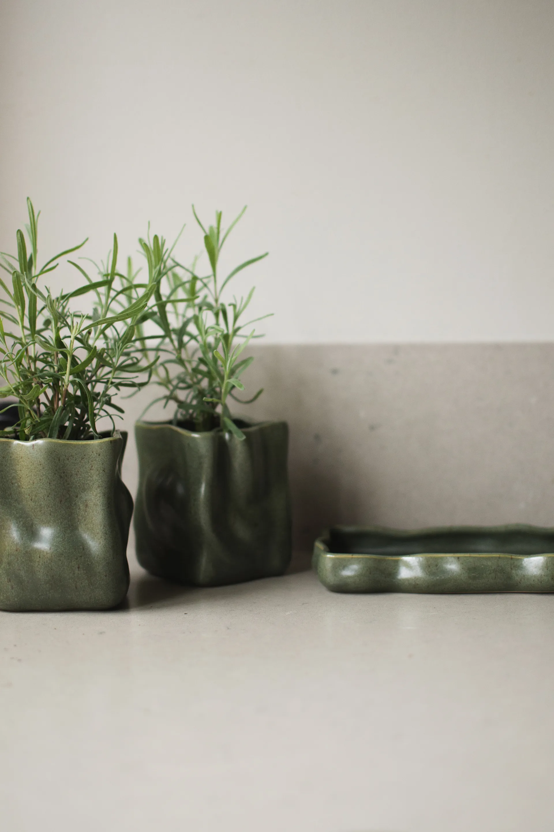 Zestaw doniczek Herb 3 części, Moss DBKD