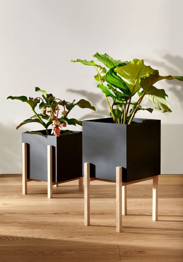 Botanic donica na podstawie - Czarny jesion - Design House Stockholm