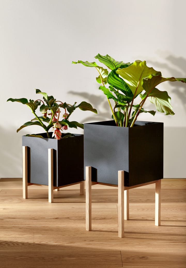 Botanic donica na podstawie, Czarny jesion Design House Stockholm