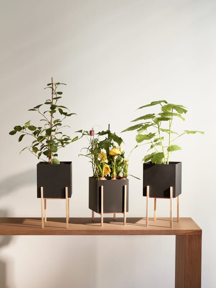 Botanic donica na podstawie, Czarny jesion Design House Stockholm