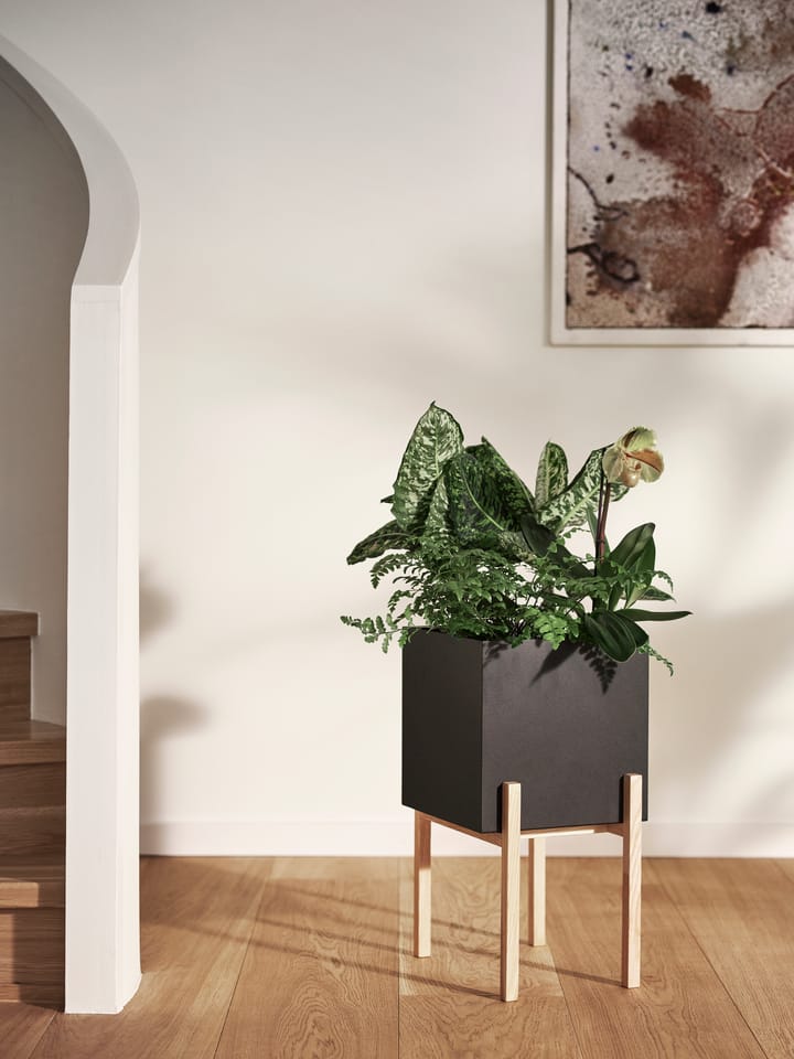Botanic donica na podstawie - Czarny jesion - Design House Stockholm