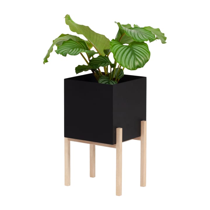 Botanic donica na podstawie - Czarny jesion - Design House Stockholm