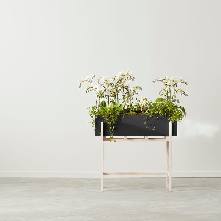 Botanic flower stand - Czarny-skrzynka - Design House Stockholm