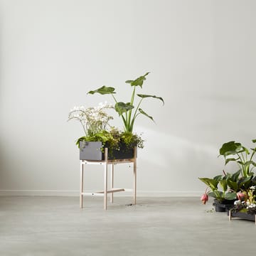Botanic flower stand - Czarny-skrzynka - Design House Stockholm