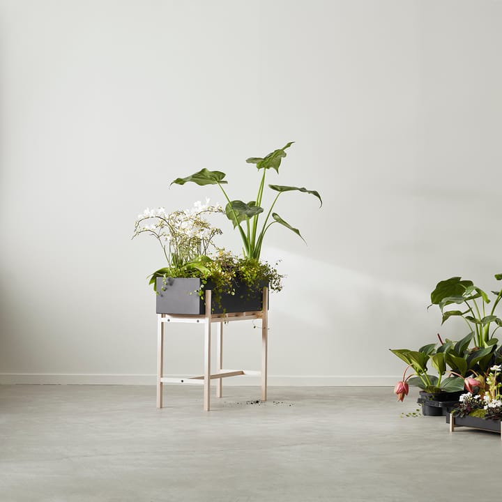 Botanic flower stand, Czarny-skrzynka Design House Stockholm
