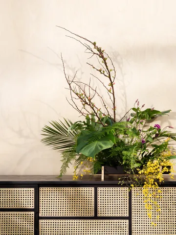 Kredens Air , low - czarny, rotang - Design House Stockholm