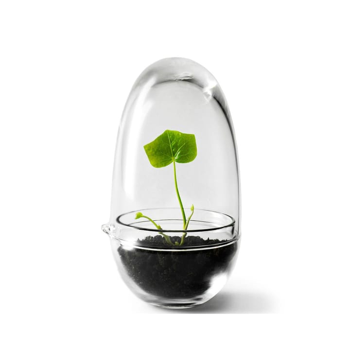 Szklarnia Grow - Mały ø8 cm - Design House Stockholm