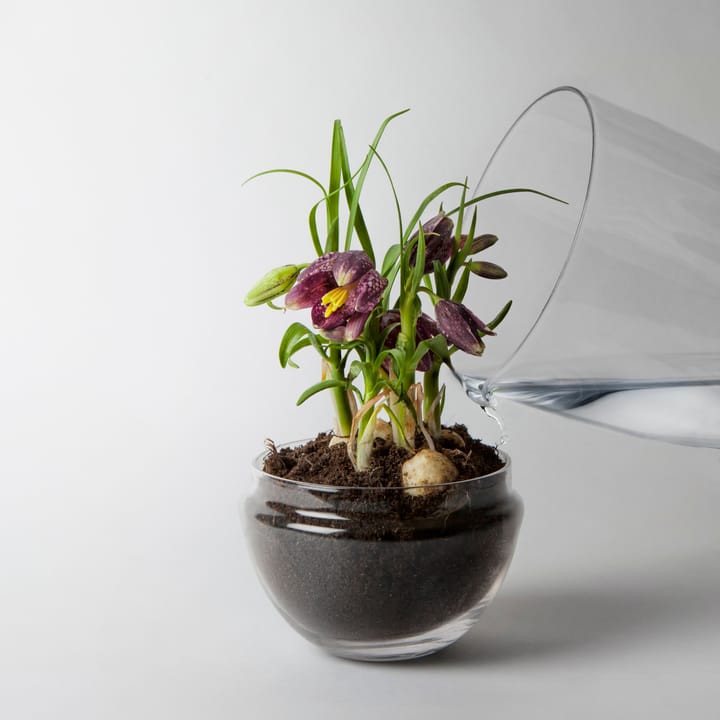 Szklarnia Grow - średni Ø11 cm - Design House Stockholm