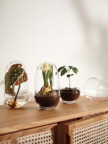 Szklarnia Grow - Średni ø11 cm - Design House Stockholm