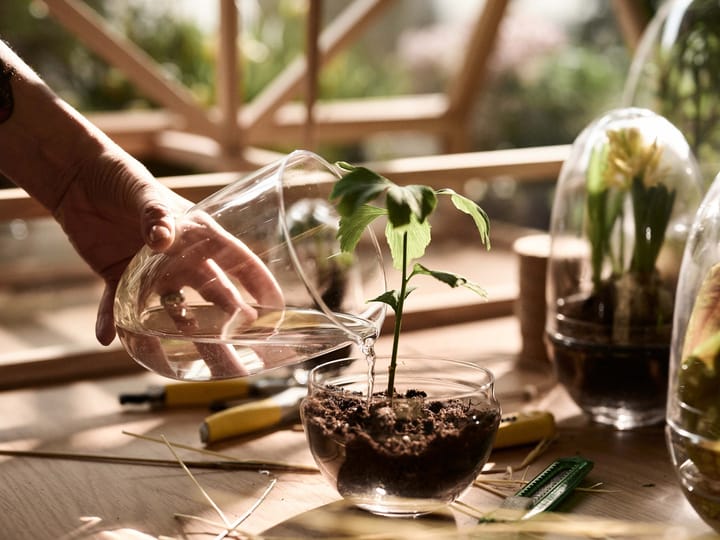 Szklarnia Grow, Średni ø11 cm Design House Stockholm