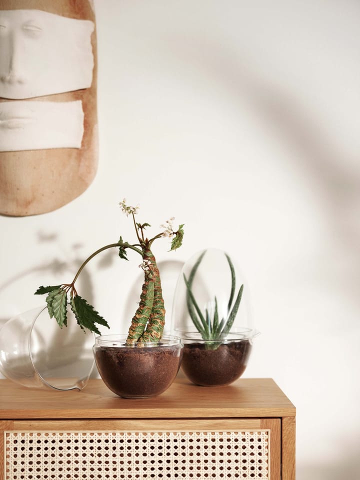Szklarnia Grow, x-large Ø20 cm Design House Stockholm