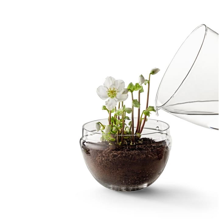Szklarnia Grow, x-large Ø20 cm Design House Stockholm