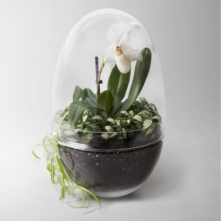 Szklarnia Grow, x-large Ø20 cm Design House Stockholm