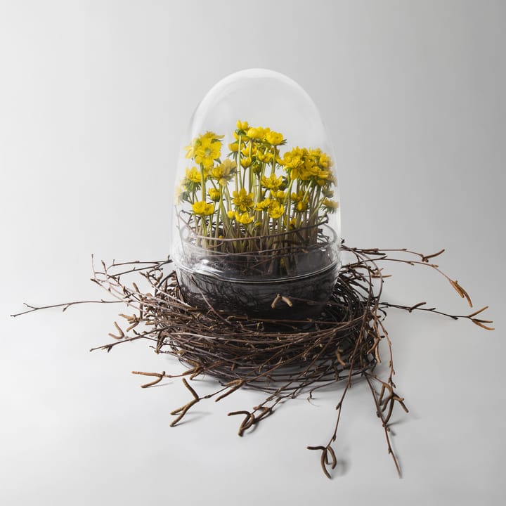 Szklarnia Grow, x-large Ø20 cm Design House Stockholm