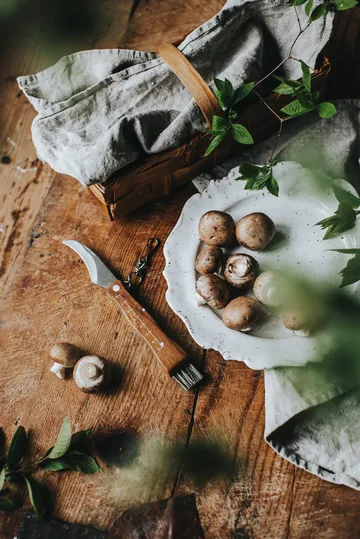 Nóż do grzybów z drewnianą rączką i pędzelkiem Stuti 13x2 cm - Stal nierdzewna - Dorre