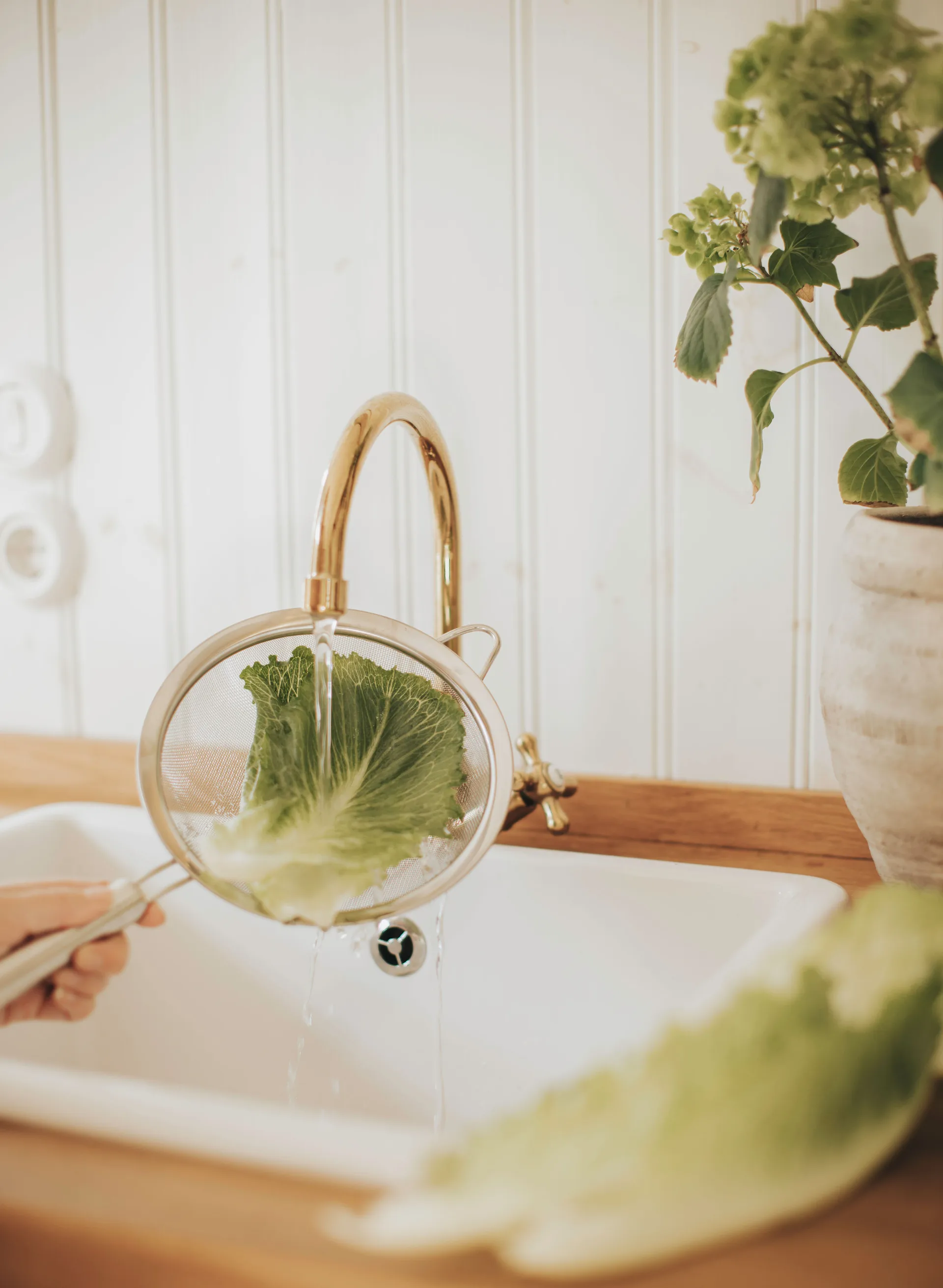 Sitko Pia Ø20 cm, Stal nierdzewna Dorre