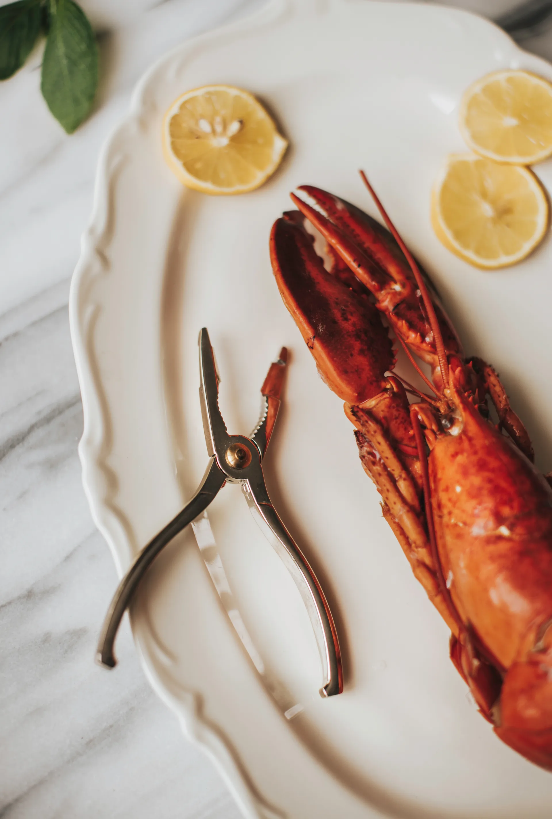 Szczypce do homarów Skai 15 cm, Srebrne Dorre