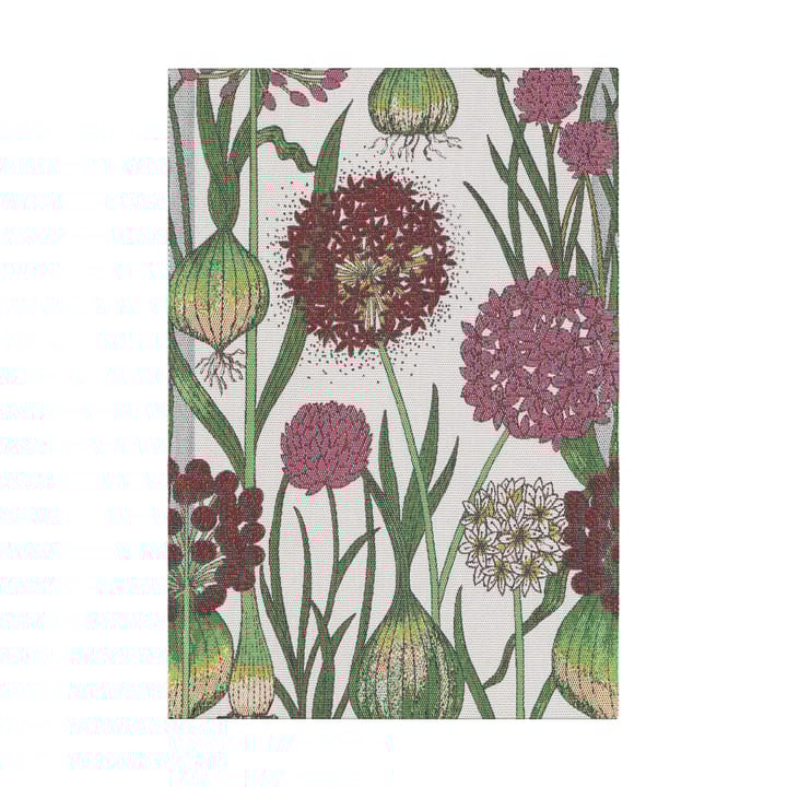 Ręcznik kuchenny Allium 35x50 cm - Multi - Ekelund Linneväveri