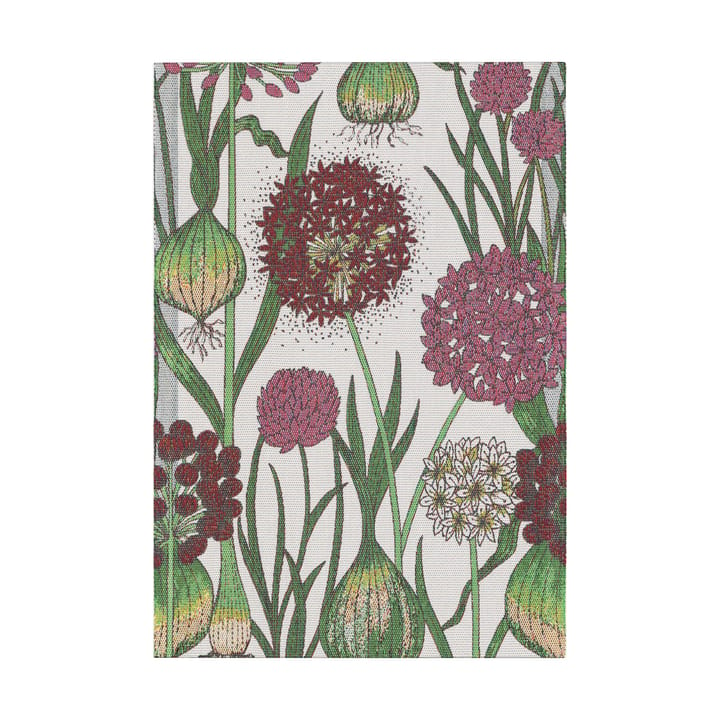 Ręcznik kuchenny Allium 35x50 cm - Multi - Ekelund Linneväveri