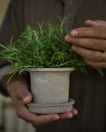 Donica Ernst z terakoty z podstawką - Ø12×10 cm - ERNST